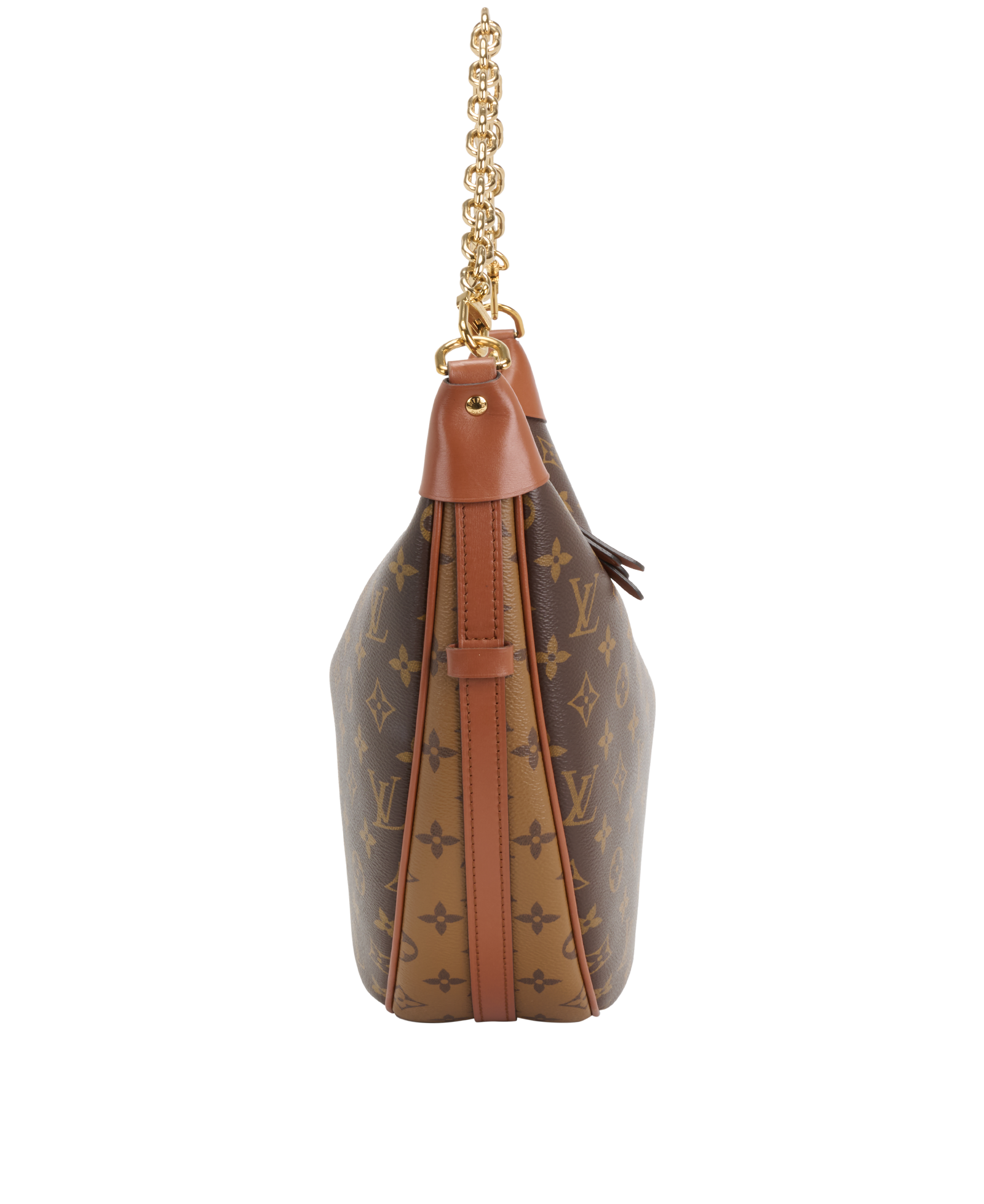 Loop Hobo, &pound;1,800, Handbags, Brown, Canvas, Side view